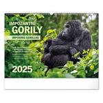 Nástenný kalendár 2025 Impozantné gorily 