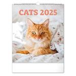 Nástenný kalendár 2025 Mačky 