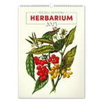 Nástenný kalendár 2025 Vintage plakáty – herbár 
