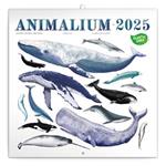 Poznámkový kalendár 2025 Animalium 