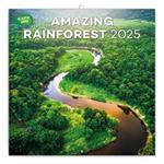 Poznámkový kalendár 2025 Dažďové pralesy 