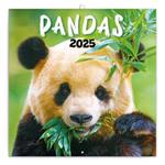 Poznámkový kalendár 2025 Pandy 