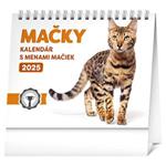 Stolový kalendár 2025 Mačky – s menami mačiek 